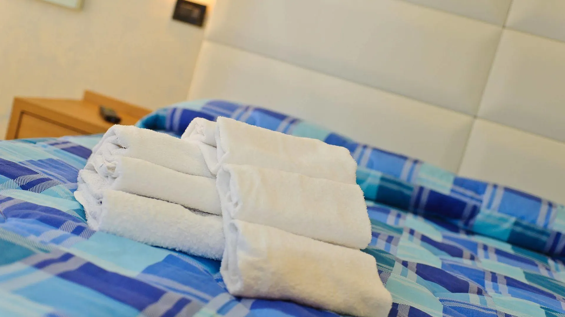 Hotel Vannucci Rimini